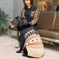 『ペットパラダイス』2025年秋冬から中大型犬向け商品 『ペットパラダイス』2025年秋冬から中大型犬向け商品