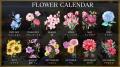 【EBISU FLOWER PARK 恵比寿店】11月のメインフラワー 【EBISU FLOWER PARK 恵比寿店】11月のメインフラワー