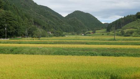 島根県産 令和7年産「仁多米・比田米・神楽米」新米入 島根県産 令和7年産「仁多米・比田米・神楽米」新米入