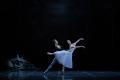 11月公演「Ballet Muses-バレエの美神2025-」が間もな 11月公演「Ballet Muses-バレエの美神2025-」が間もな