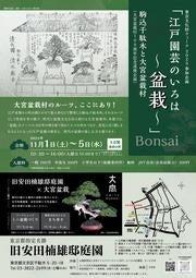 旧安田楠雄邸庭園で大宮盆栽のプロモーションを行いま 旧安田楠雄邸庭園で大宮盆栽のプロモーションを行いま