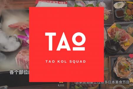 施策継続率99%、フォロワー単価1円以下!中国パワーKO 施策継続率99%、フォロワー単価1円以下!中国パワーKO