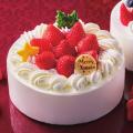「Christmas Cake Collection 2025」、全国のシutf-8 「Christmas Cake Collection 2025」、全国のシutf-8