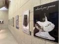 大阪・関西万博イタリア館展示作品を大阪芸術大学で特 大阪・関西万博イタリア館展示作品を大阪芸術大学で特