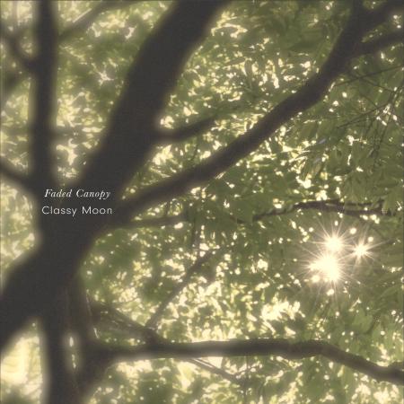 「Faded Canopy」──森の静けさが、あなたの“考えごと” 「Faded Canopy」──森の静けさが、あなたの“考えごと”