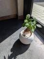 会社員という働き方に、息苦しさを感じているあなたへ 会社員という働き方に、息苦しさを感じているあなたへ