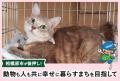 【相模原市】クラウドファンディング型ふるさと納税に 【相模原市】クラウドファンディング型ふるさと納税に