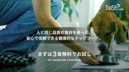 nosh DOG、初回購入者を対象にした「3食分無料お試し nosh DOG、初回購入者を対象にした「3食分無料お試し