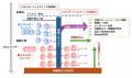 【岡山大学】次世代有機高分子系複合熱電変換材料の新 【岡山大学】次世代有機高分子系複合熱電変換材料の新