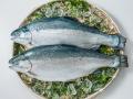 オカムラ食品工業 新TVCM「青森から世界へ、青森サー オカムラ食品工業 新TVCM「青森から世界へ、青森サー