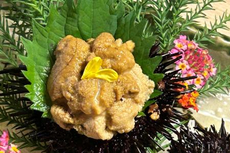 「讃岐うどんの廃材で海の再生」香川の海を循環させる 「讃岐うどんの廃材で海の再生」香川の海を循環させる
