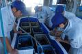 「讃岐うどんの廃材で海の再生」香川の海を循環させる 「讃岐うどんの廃材で海の再生」香川の海を循環させる