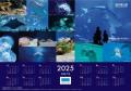 【沖縄美ら海水族館】11/1水族館開館23周年記念日「20 【沖縄美ら海水族館】11/1水族館開館23周年記念日「20