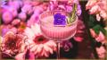 【EBISU FLOWER PARK 広島店】広島の街を味わう--ご当 【EBISU FLOWER PARK 広島店】広島の街を味わう--ご当