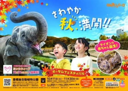 【豊橋市】ライオンの赤ちゃんにも会える! のんほ 【豊橋市】ライオンの赤ちゃんにも会える! のんほ