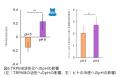 マンダム、細胞の感覚センサー「TRPチャネル」が環境 マンダム、細胞の感覚センサー「TRPチャネル」が環境