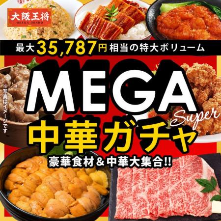 最大35,787円相当の超超特大ボリューム!『大阪王将 M 最大35,787円相当の超超特大ボリューム!『大阪王将 M