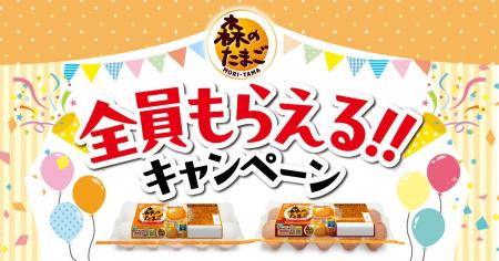森のたまご全員もらえる!!キャンペーン開催(11月1日よ 森のたまご全員もらえる!!キャンペーン開催(11月1日よ