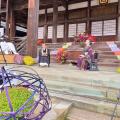 地域の笑顔と文化をつなぐ 2 日間 『味真野 お寺びら 地域の笑顔と文化をつなぐ 2 日間 『味真野 お寺びら