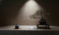 「JUME BONSAI 無垢 -MUKU-」、ウォルドーフ・アスト 「JUME BONSAI 無垢 -MUKU-」、ウォルドーフ・アスト