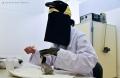 4年ぶり誕生のエンペラーペンギンの赤ちゃん 親鳥の 4年ぶり誕生のエンペラーペンギンの赤ちゃん 親鳥の