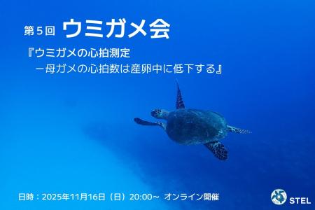 悠久の時を生きる、大海原の旅人の不思議を一緒に探ろ 悠久の時を生きる、大海原の旅人の不思議を一緒に探ろ