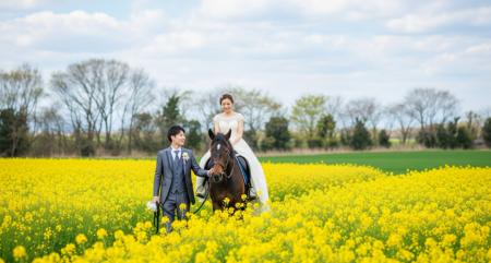 富士山と馬に誓う、結婚式をしないふたりの新しい記録 富士山と馬に誓う、結婚式をしないふたりの新しい記録