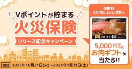 三井住友カード「Vポイントが貯まる保険」の商品ライ 三井住友カード「Vポイントが貯まる保険」の商品ライ