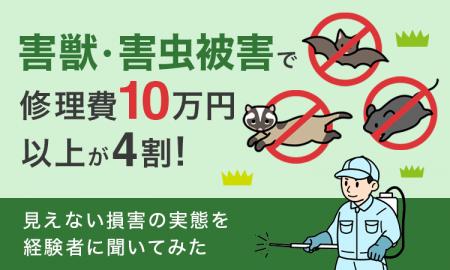 害獣・害虫被害で“修理費10万円以上”が4割!見えない 害獣・害虫被害で“修理費10万円以上”が4割!見えない