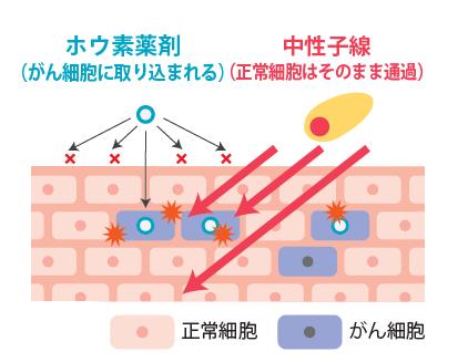 欧州臨床腫瘍学会 2025における国内第II相臨床試験結 欧州臨床腫瘍学会 2025における国内第II相臨床試験結