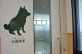 豊橋市動物愛護センター「あいくる」がオープンしまし 豊橋市動物愛護センター「あいくる」がオープンしまし