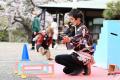 横浜・三溪園 紅葉の遊歩道開放~古建築と紅葉が織り 横浜・三溪園 紅葉の遊歩道開放~古建築と紅葉が織り
