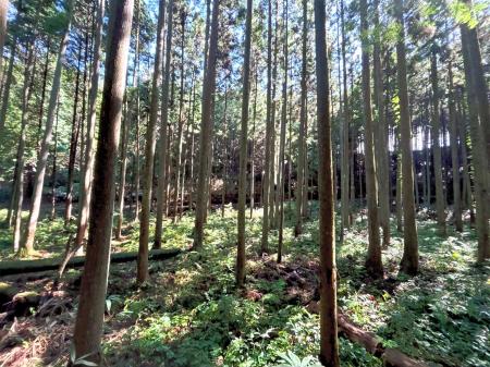 フォレンタ、奈良県に初進出!先祖代々受け継いだヒノ フォレンタ、奈良県に初進出!先祖代々受け継いだヒノ