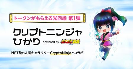 GMOインターネットとフィナンシェが協業光回線プラン GMOインターネットとフィナンシェが協業光回線プラン