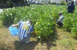 「第13回食品産業もったいない大賞 審査委員長賞」を 「第13回食品産業もったいない大賞 審査委員長賞」を