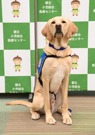 東京都立小児総合医療センター「こころ病棟」にホスピ 東京都立小児総合医療センター「こころ病棟」にホスピ