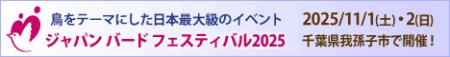 11/1-2鳥をテーマにした日本最大級のイベント「ジャパ 11/1-2鳥をテーマにした日本最大級のイベント「ジャパ