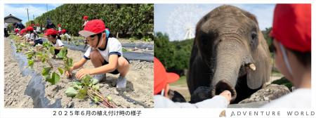 動物たちと食育体験 すさみ町立周参見小学校の児童が 動物たちと食育体験 すさみ町立周参見小学校の児童が