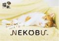 フェリシモ「猫部(TM)」×ROKKO森の音ミュージアム 「 フェリシモ「猫部(TM)」×ROKKO森の音ミュージアム 「