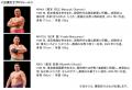 【2026年1月7日開業!】相撲×和食のインバウンド向け 【2026年1月7日開業!】相撲×和食のインバウンド向け