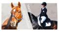 開催まであと4日!【Tokyo Equestrian Festival 2025 開催まであと4日!【Tokyo Equestrian Festival 2025
