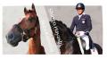 開催まであと4日!【Tokyo Equestrian Festival 2025 開催まであと4日!【Tokyo Equestrian Festival 2025