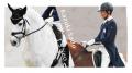 開催まであと4日!【Tokyo Equestrian Festival 2025 開催まであと4日!【Tokyo Equestrian Festival 2025