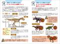 恐竜同士のリアルなバトルをくぐりぬけろ! ティラノ 恐竜同士のリアルなバトルをくぐりぬけろ! ティラノ