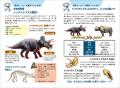 恐竜同士のリアルなバトルをくぐりぬけろ! ティラノ 恐竜同士のリアルなバトルをくぐりぬけろ! ティラノ