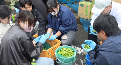 【城西国際大学】オリーブ産地化応援プロジェクト 地 【城西国際大学】オリーブ産地化応援プロジェクト 地
