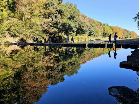 秋の嵐山渓谷の魅力を味わう『嵐山渓谷紅葉まつutf-8 秋の嵐山渓谷の魅力を味わう『嵐山渓谷紅葉まつutf-8