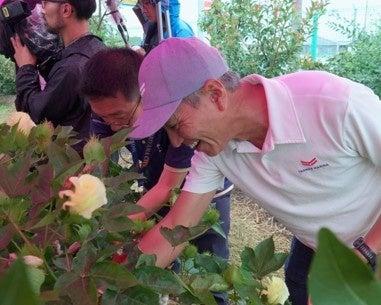 「鎌倉シャツコットンプロジェクト@守山」衣類をたい 「鎌倉シャツコットンプロジェクト@守山」衣類をたい