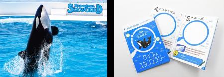 【鴨川シーワールド】鴨川シーワールド『家族月間』特 【鴨川シーワールド】鴨川シーワールド『家族月間』特