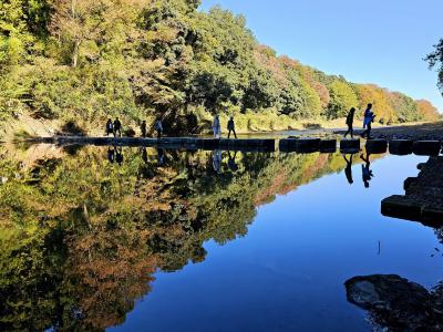 秋の嵐山渓谷の魅力を味わう『嵐山渓谷紅葉まつり』イ 秋の嵐山渓谷の魅力を味わう『嵐山渓谷紅葉まつり』イ